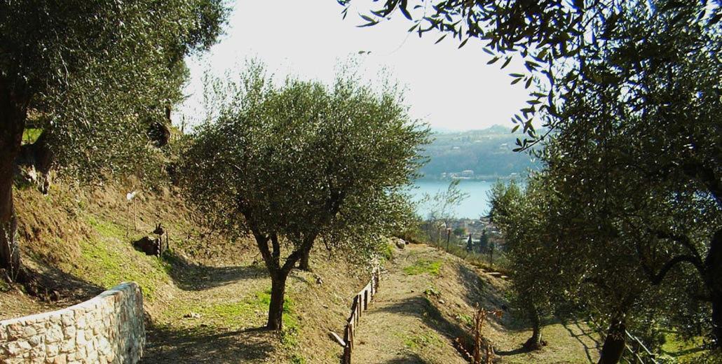 Agriturismo Villa Bissiniga Salò Zewnętrze zdjęcie